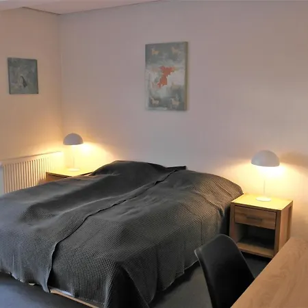 斯科亚德贝格伽尼酒店 3*